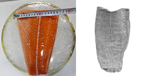 X-ray inspection machine for bones-field application salmon X-ray inspection machine for bones-field application salmon