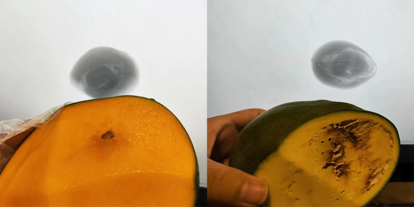 X-ray inspection machine for bones-field application X-ray inspection machine for bones-field application