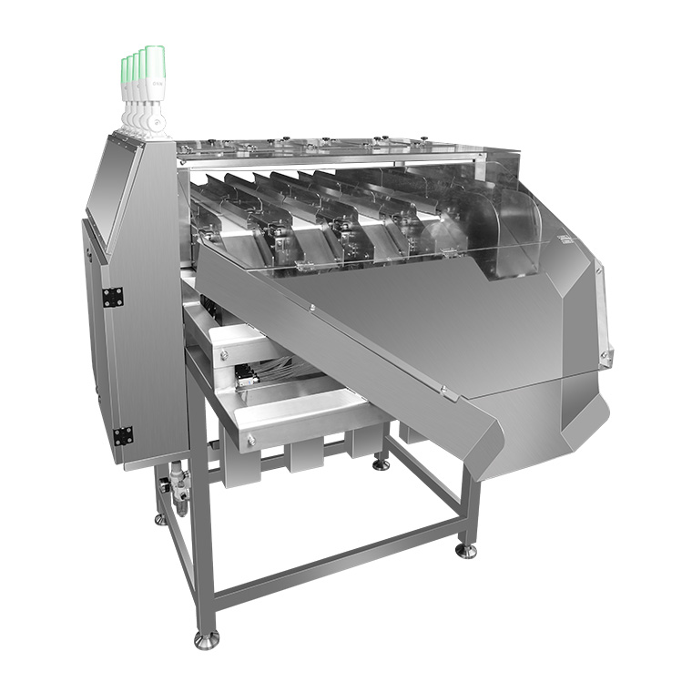 Multi-lane Checkweigher Multi-channel Weighing Machine