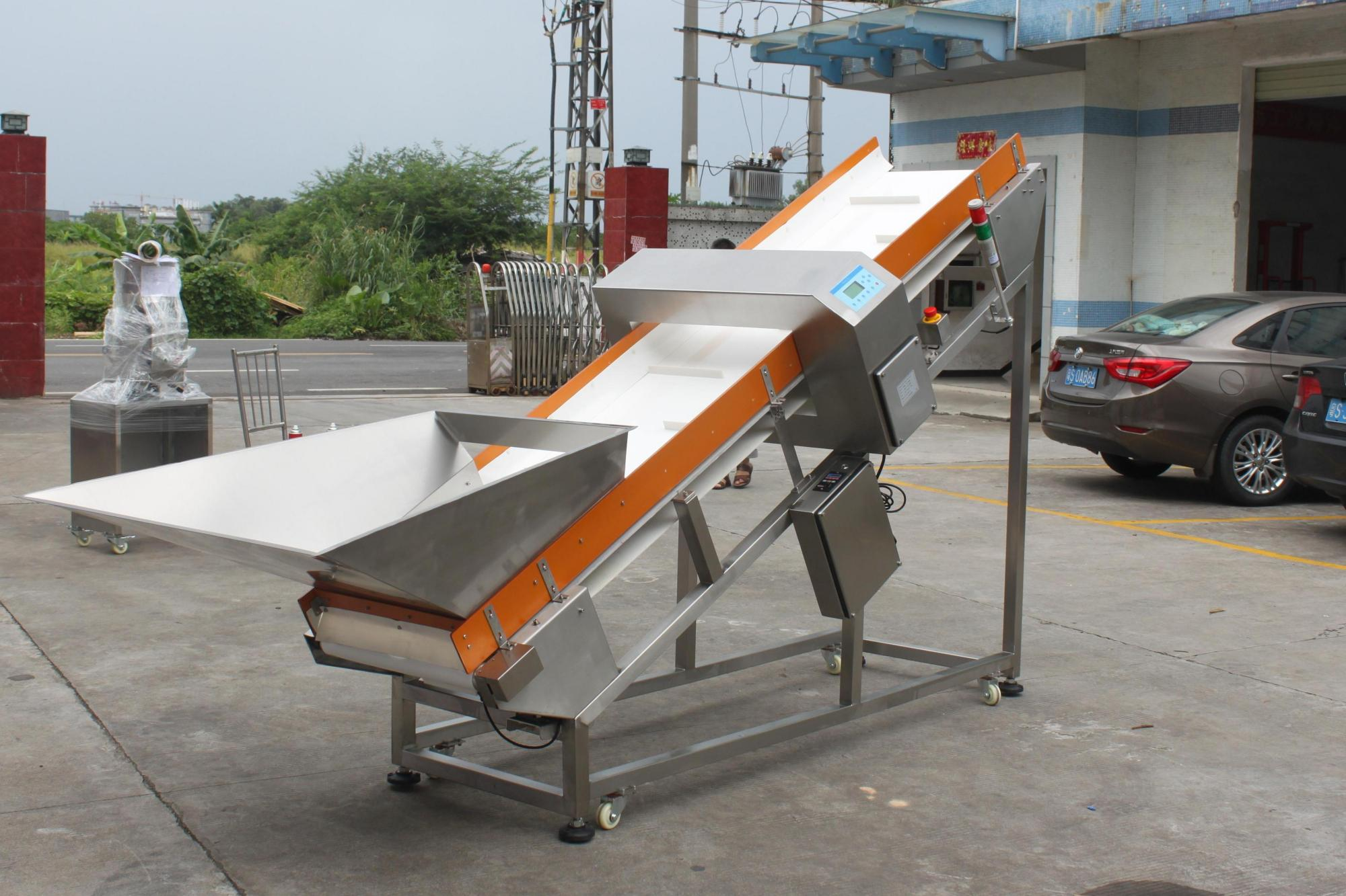 Metal detector for crusher