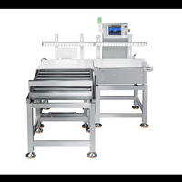 Checkweigher for large Bags Upright on Belt