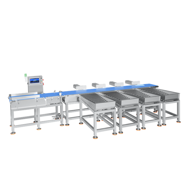 Four-Levels Weight Sorting Machine for Pomelo, Orange