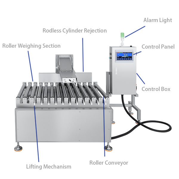 Schematic diagram of the single-section roller checkweigher 