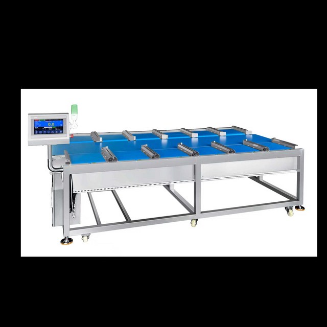 12-Head Linear Combination Weigher for durian steak