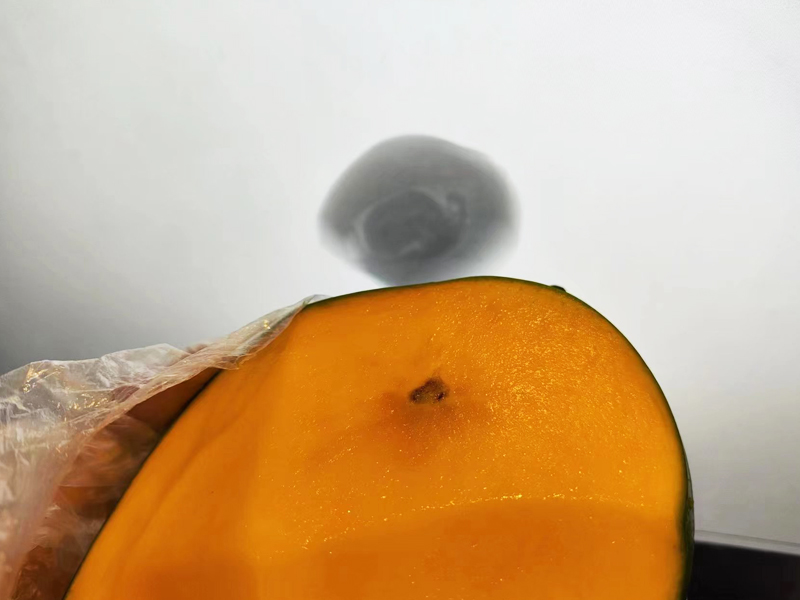 X-ray Inspection System For Mango
