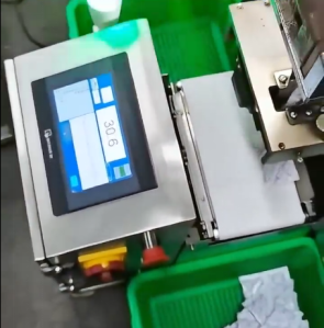 Stop and Weigh Scale 