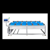 12-Head Linear Combination Weigher for durian steak
