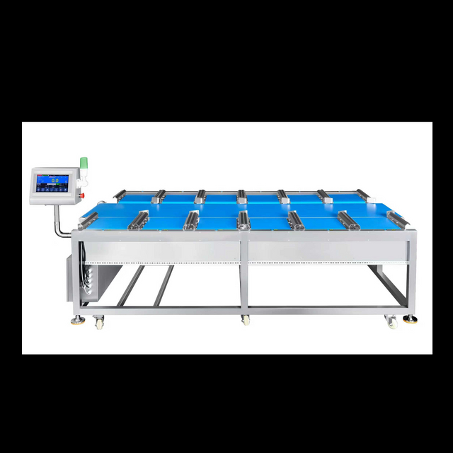 12-Head Linear Combination Weigher for durian steak