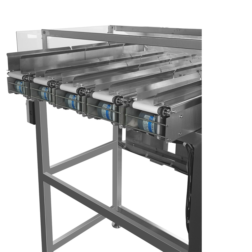 Multi-lane Checkweigher Multi-channel Weighing Machine