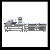 Combined Metal Detector and Checkweigher for Food Packaging