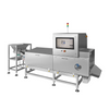 X-ray Inspection System for Bulk Material 